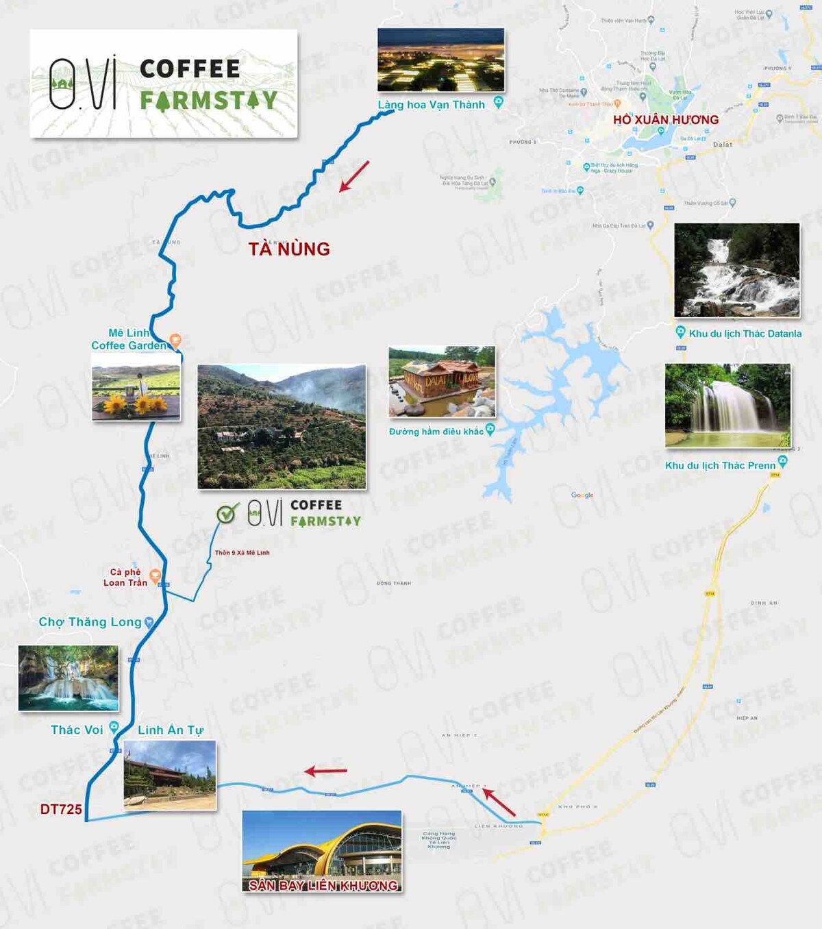 OVi Coffee FarmStay (O.Vi)