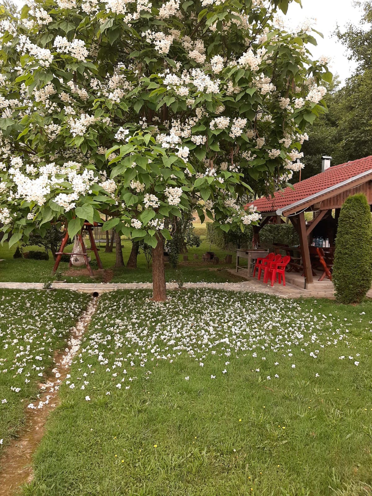 Un loc liniștit pentru clipe de neuitat în natura