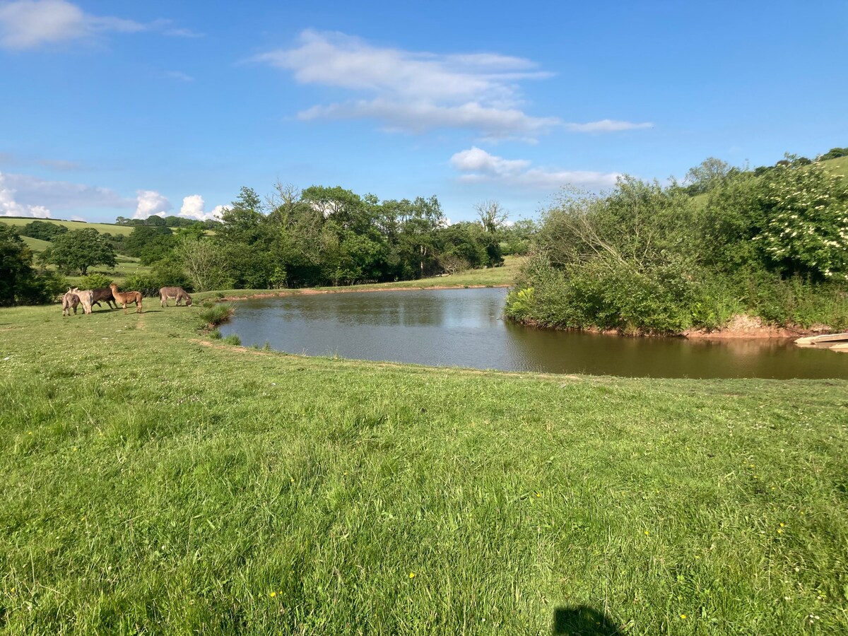 Beauty spot 
Abercorran farm 
Laugharne