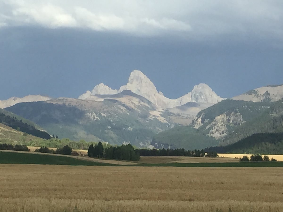 Teton Fields