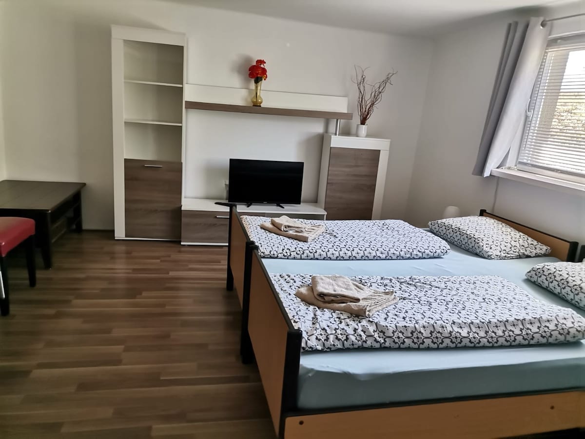 Apartment Drava 1