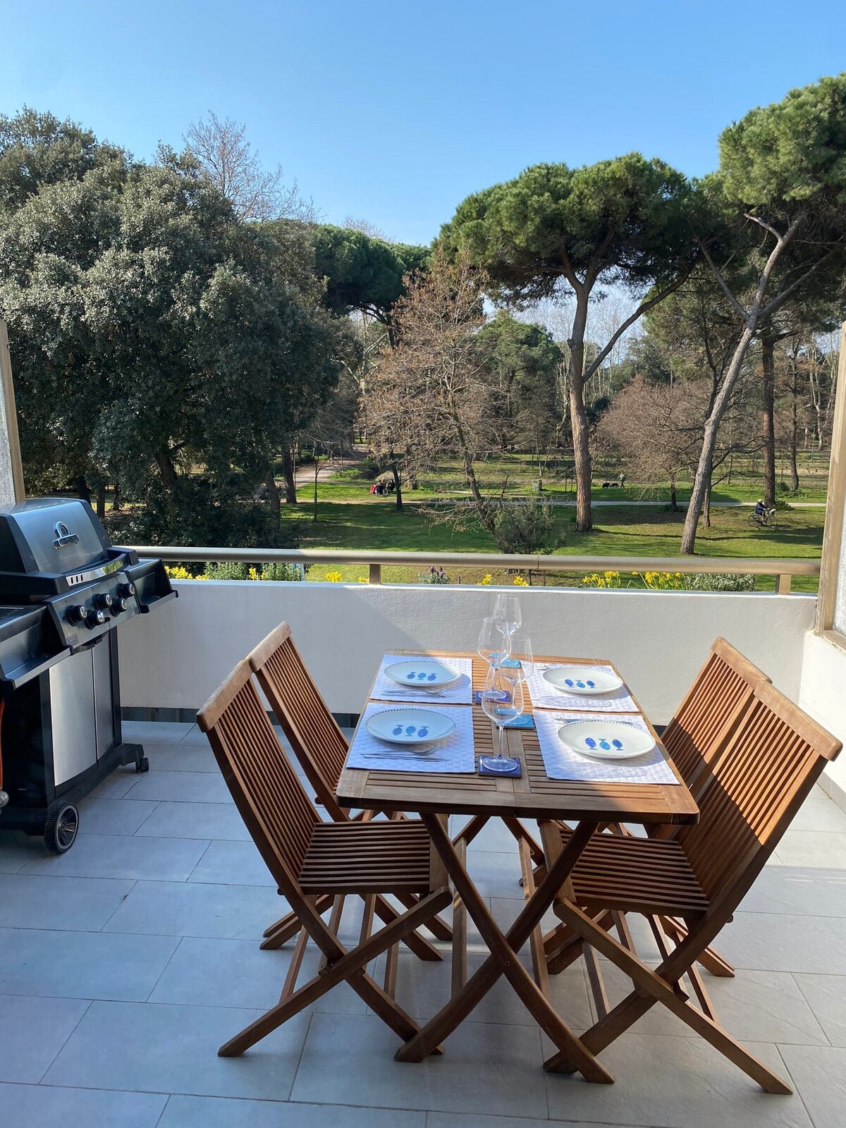 Delizioso appartamentino con terrazza vista pineta