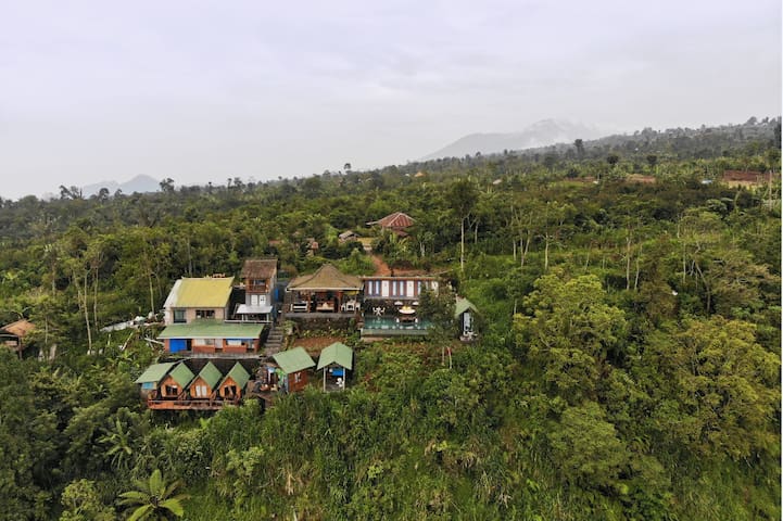 巴厘岛的民宿