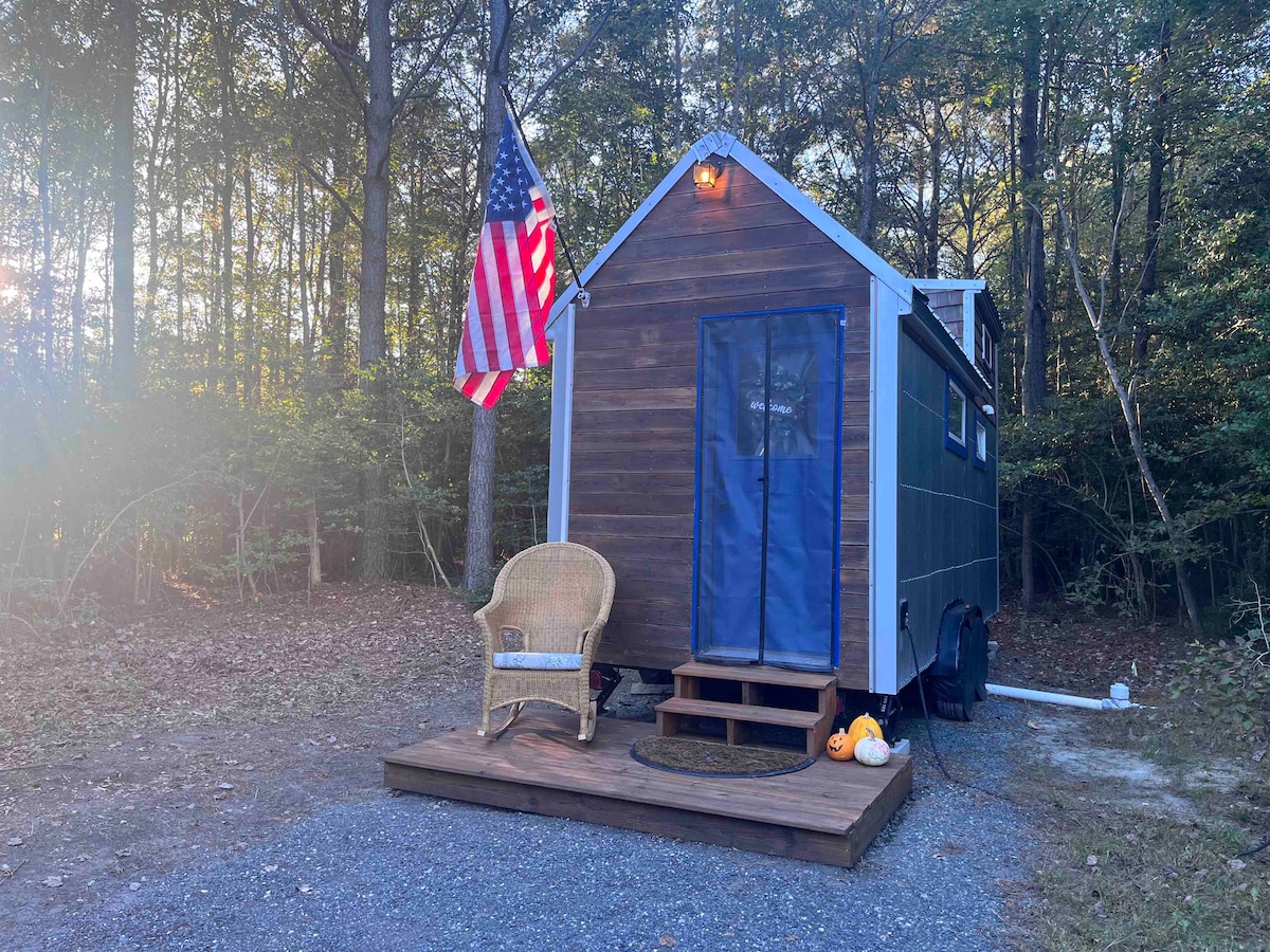 Wild Nest Tiny House In Woods