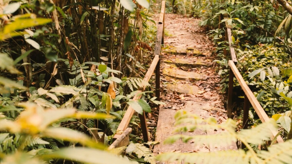 Paraíso ecológico quase dentro da cidade