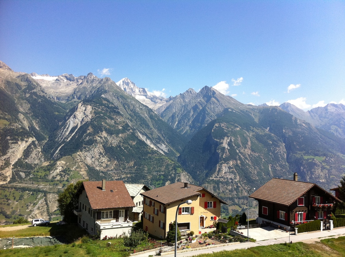 瑞士阿尔卑斯山顶度假木屋顶公寓