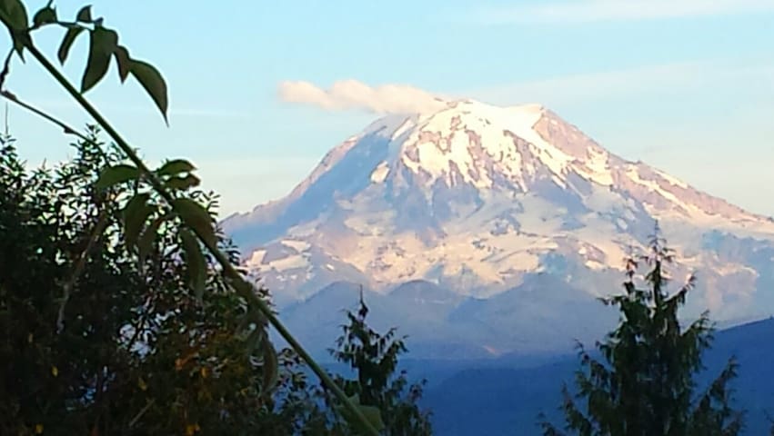 皮阿拉普(Puyallup)的民宿