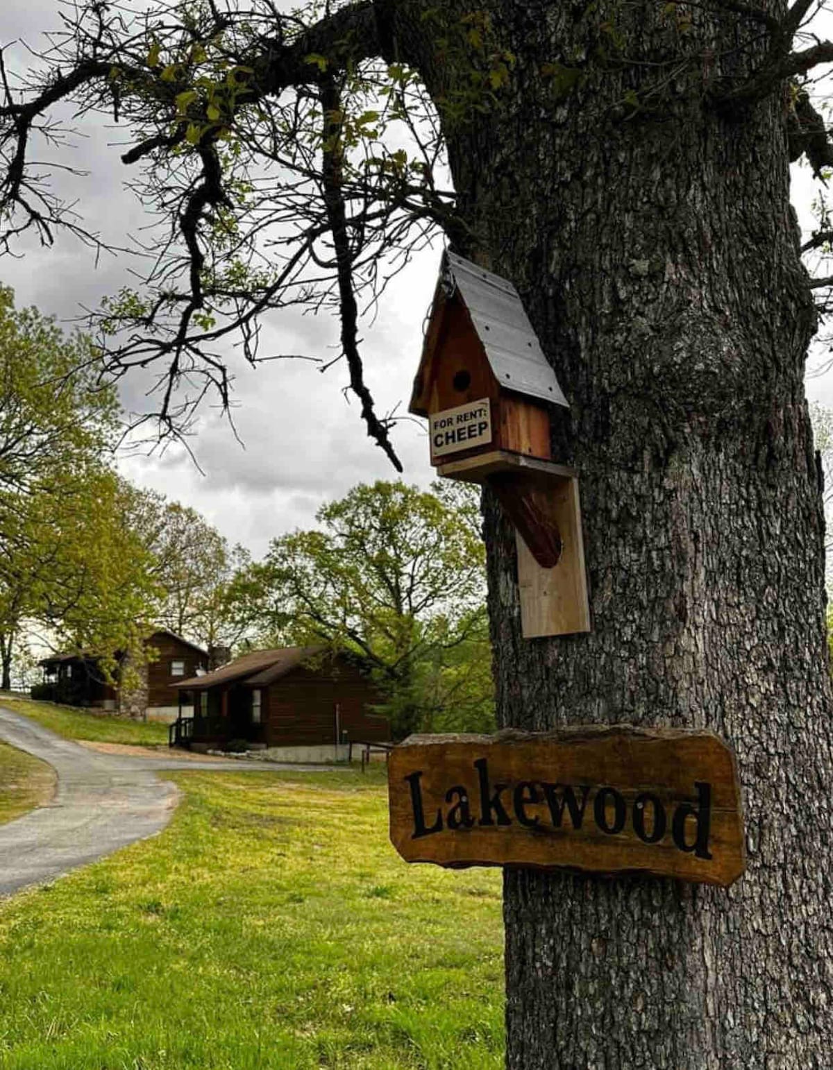 Lakewood小木屋3