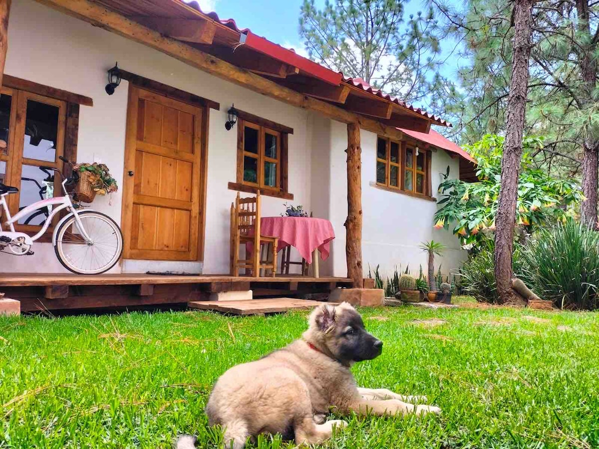 Quinta Patricia
"Cabaña Azul"