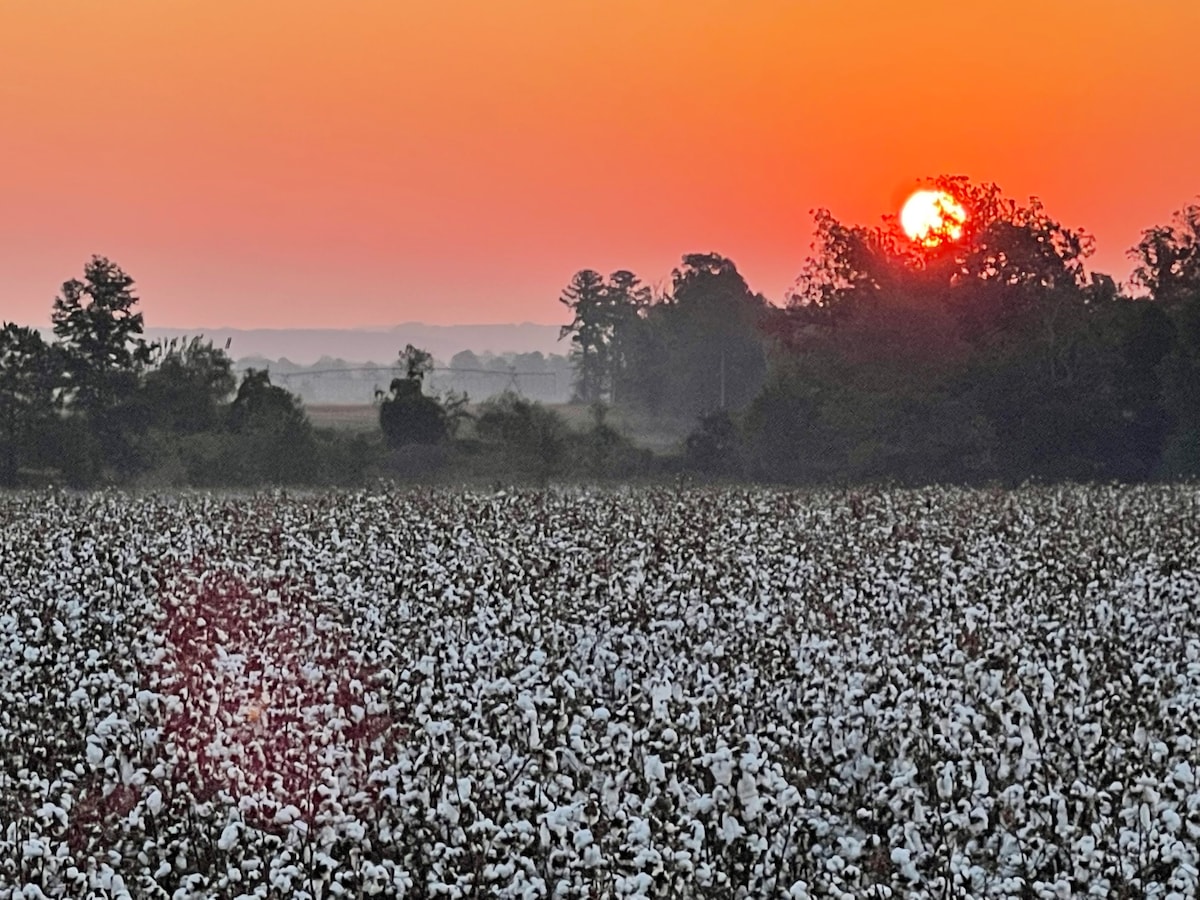 The Cotton Field Cottage