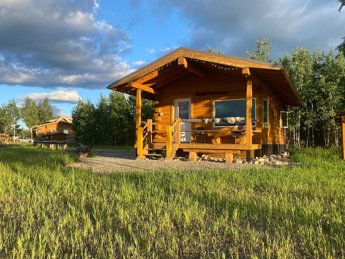 Oma and Opa 's Northern Lights Cabin