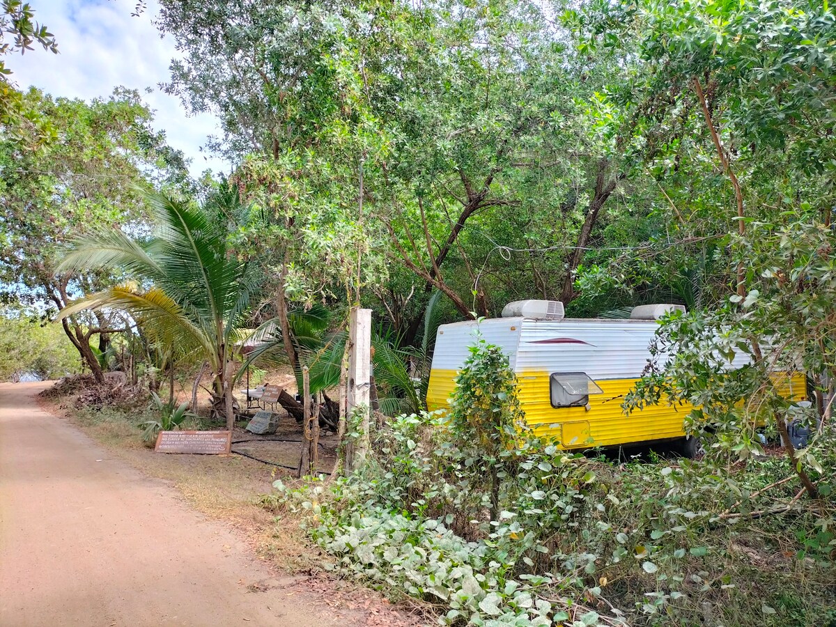 María Juana Chacahua Surf House