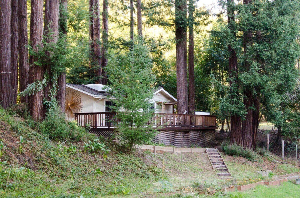 Cottage Nestled in the Redwoods