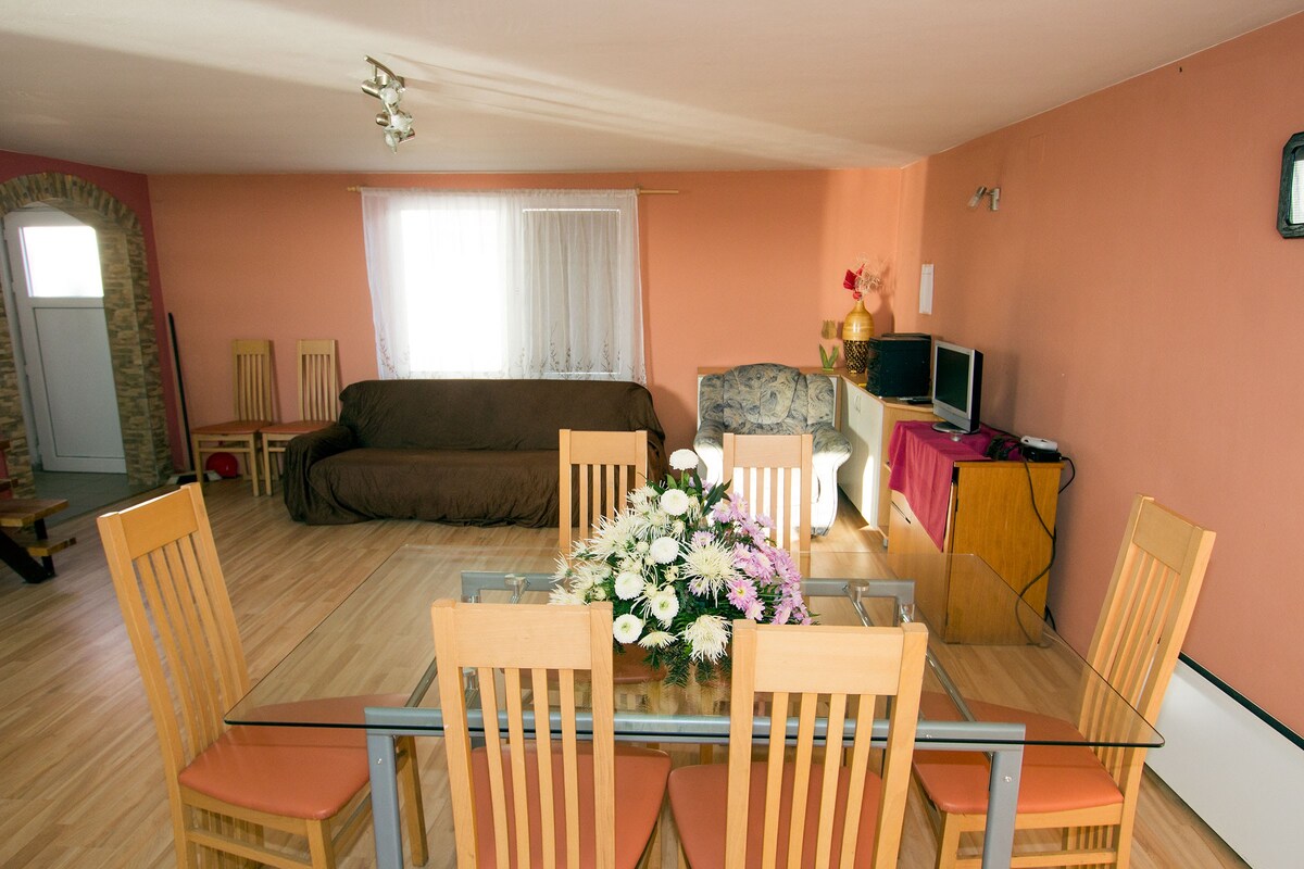 Holiday home Bogojina for 6 people