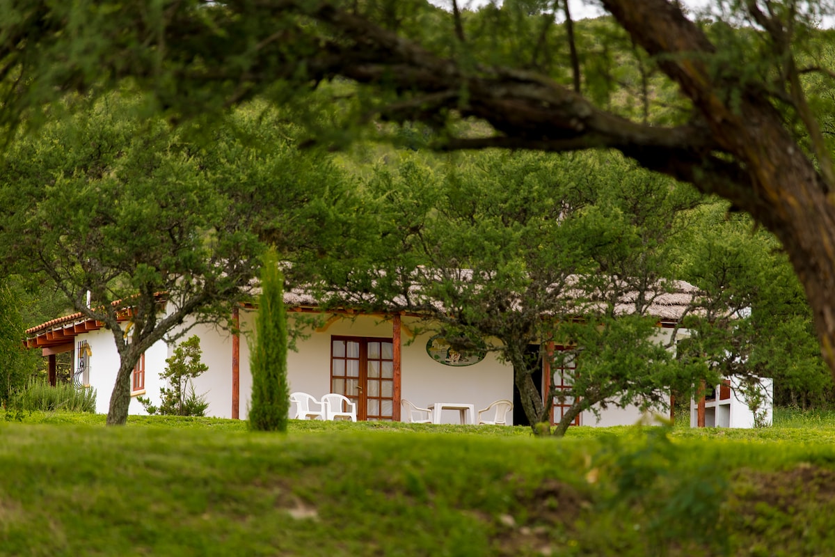 愉快的乡村住宅