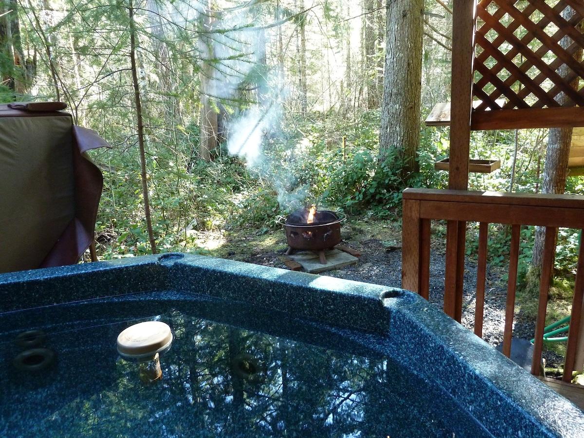 HotTub~FireplaceLodging@Mt Rainier Mtn Lily Cabin