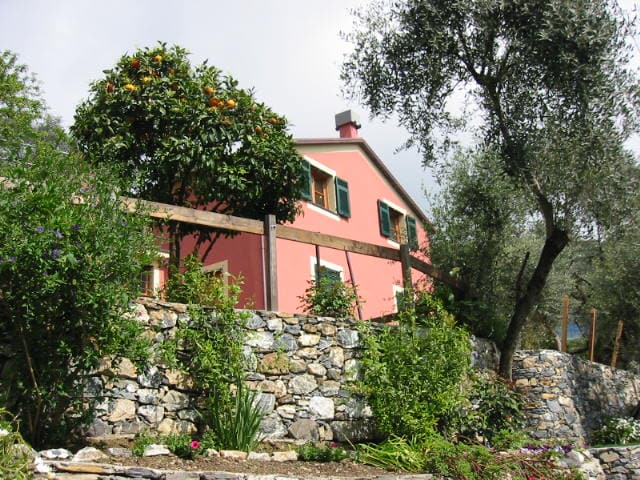 OlivePress Lodge (010015-LT-0278)