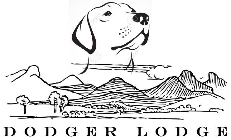 Dodger Lodge俯瞰耀眼的Flathead Lake