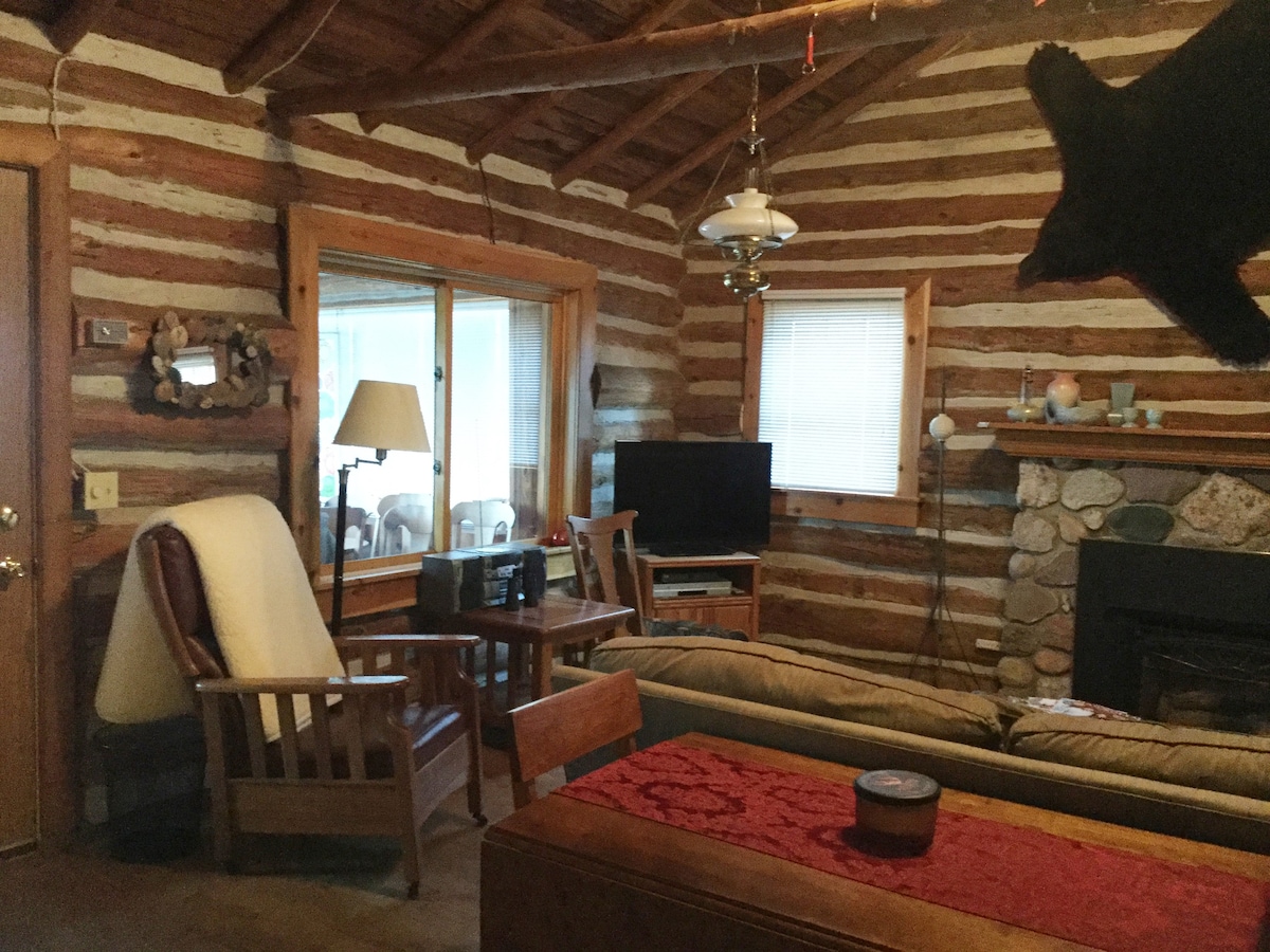 Higgins Lakefront Charming Log: 2 Bedroom + Loft