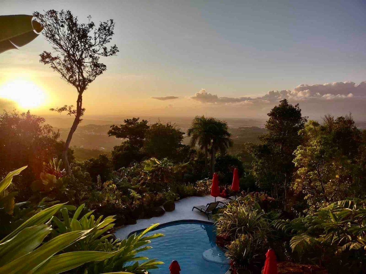 热带雨林单间公寓# 2游泳池、热带花园、景观