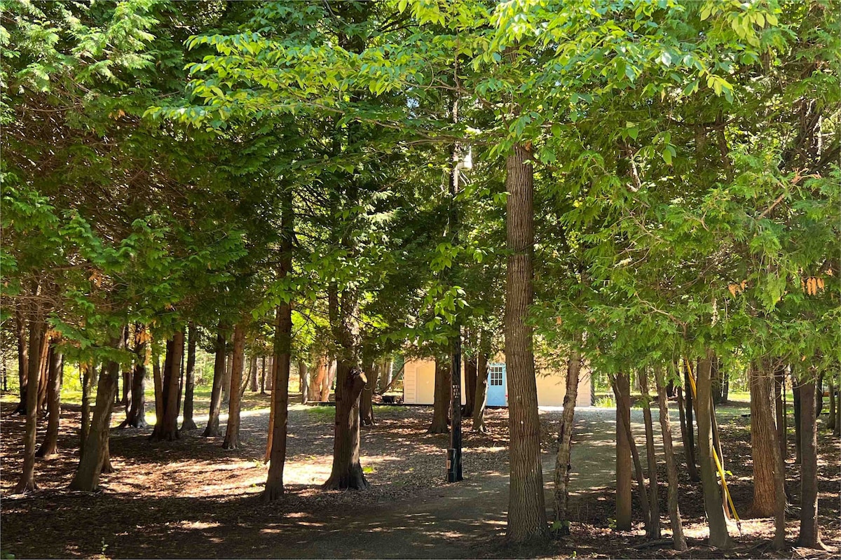 Lake Michigan Tunnel of Trees Hideaway