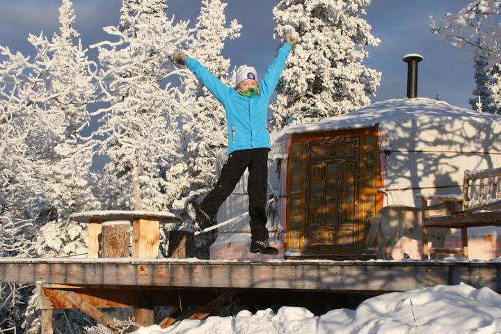 traveling light b&b mongolian yurt