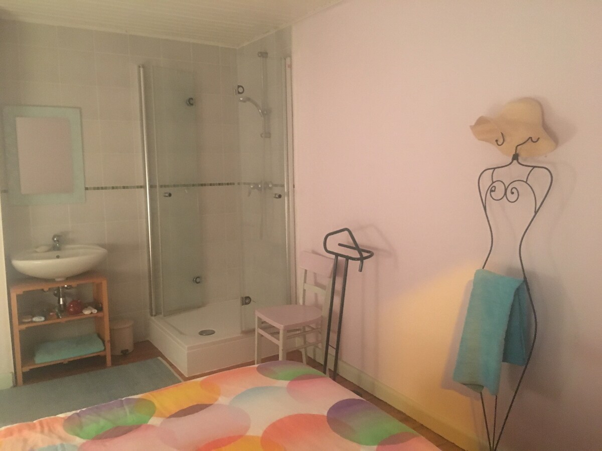 双人房-独立淋浴间和书桌