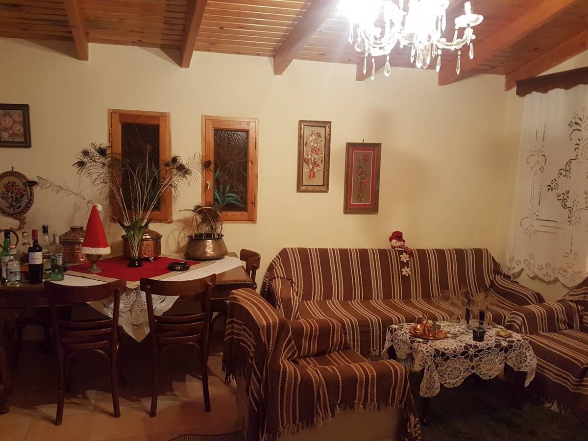 Traditional House in Soulinari,Korinthia fast WiFi