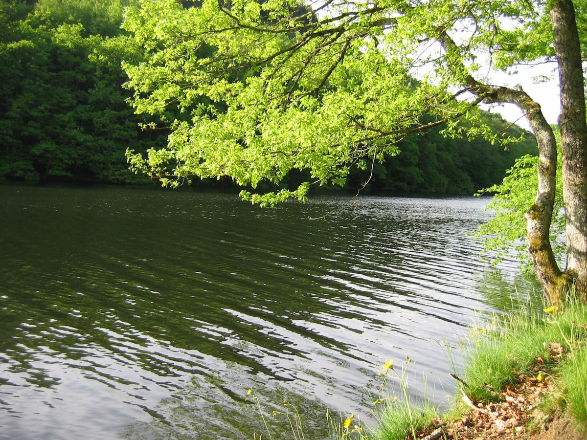 Chalet by Lake Pannecière - Morvan