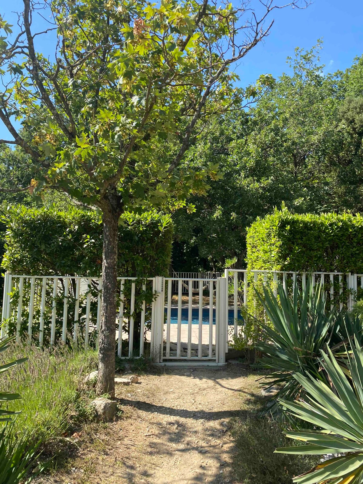 Maison avec piscine Drôme provençale