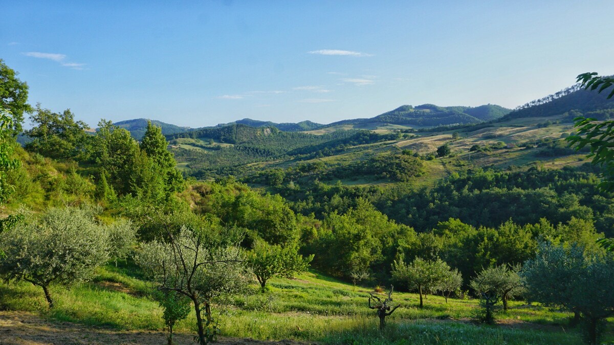 La Petriola ：距离Gubbio 10公里，让您放松身心