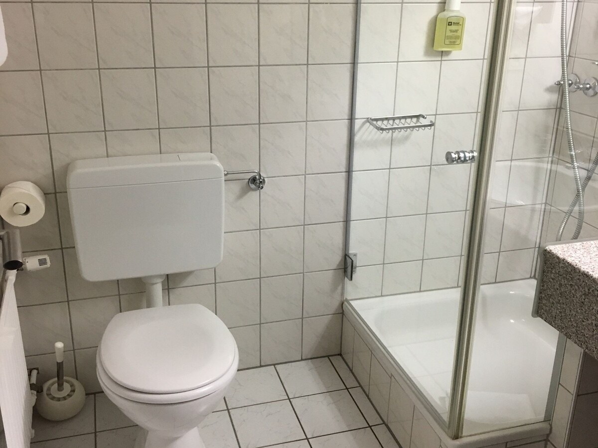 Schweizer Hof酒店（卡塞尔） -带淋浴间/厕所的经典单人间