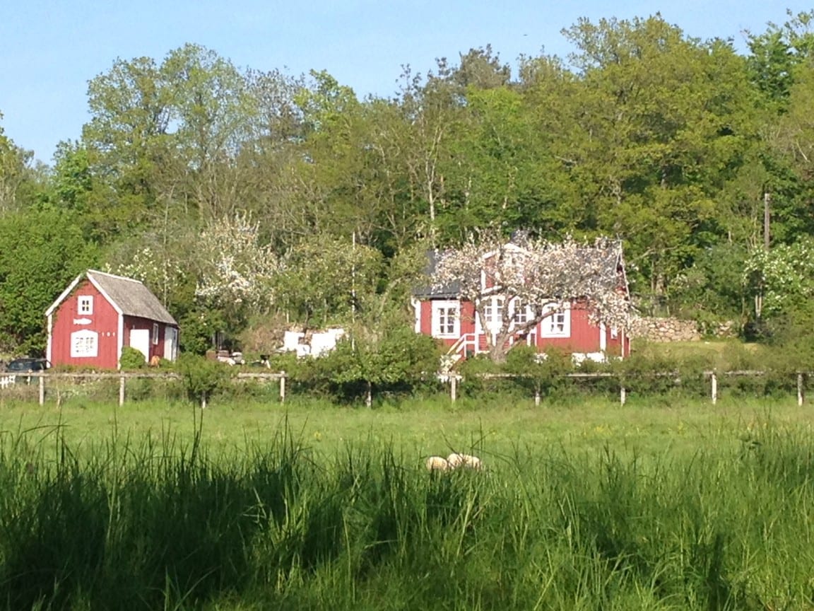 Cozy Private House in Mörrum just by the river