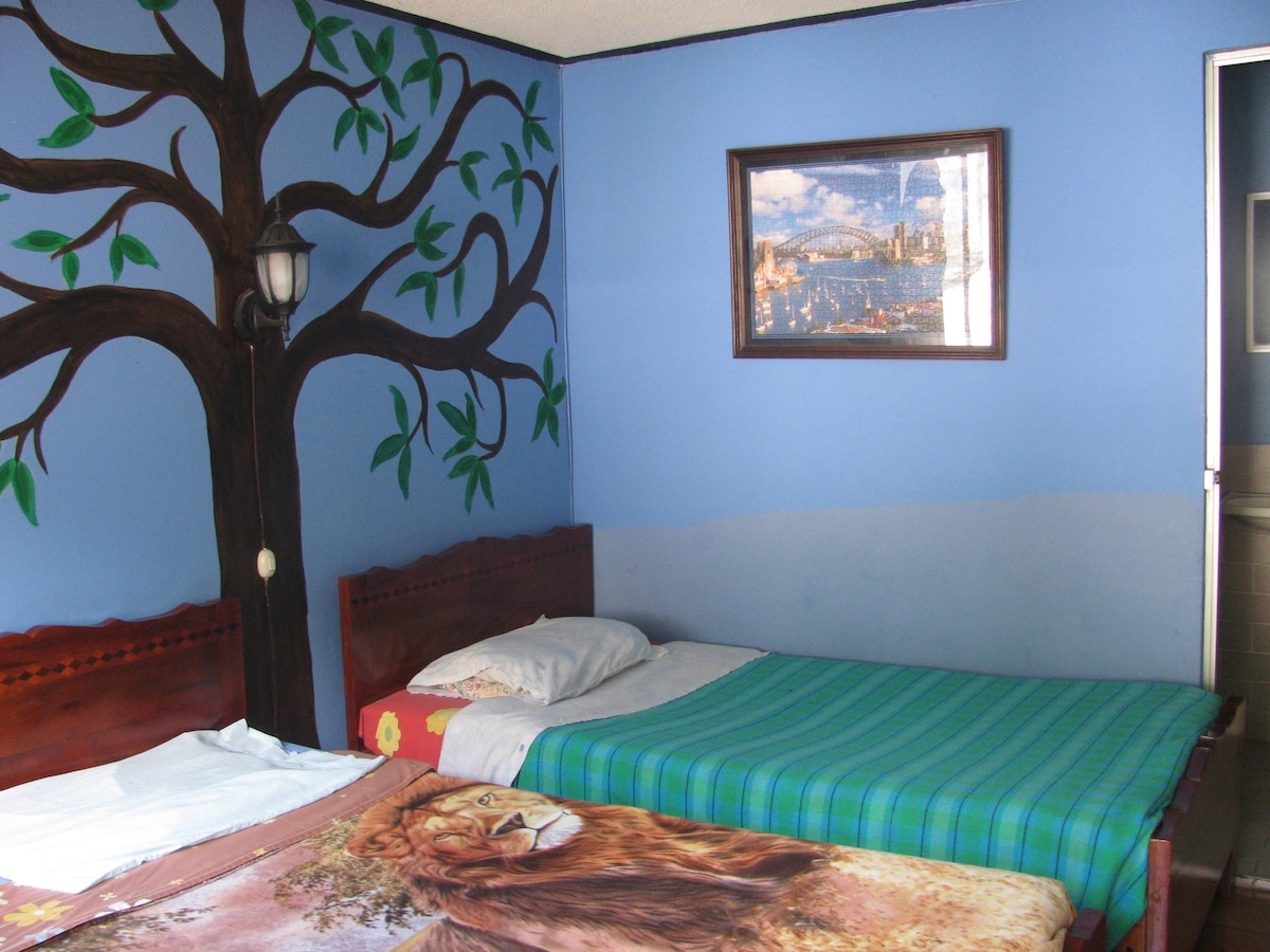 Bed in a 2 bed mixed dorm(3)-Hostal Transilvania