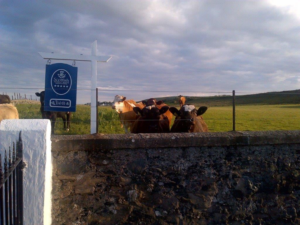 5 * B&B on the beach, Islay