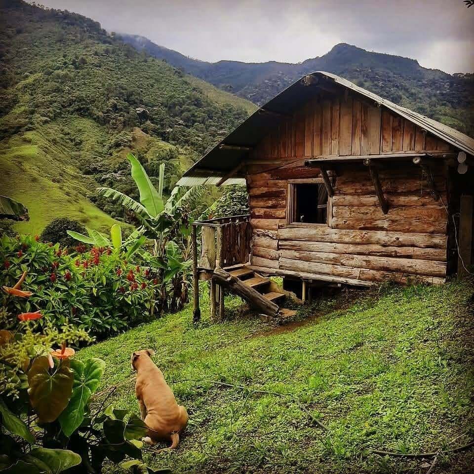 Eco Cabaña De Descanso y 
Relax