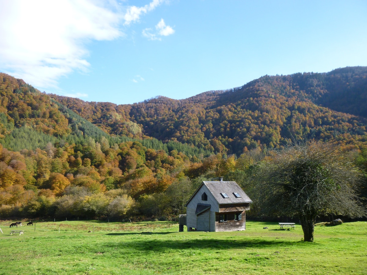 Chalet de la forêt d 'Issaux n ° 1: Le Rêveur