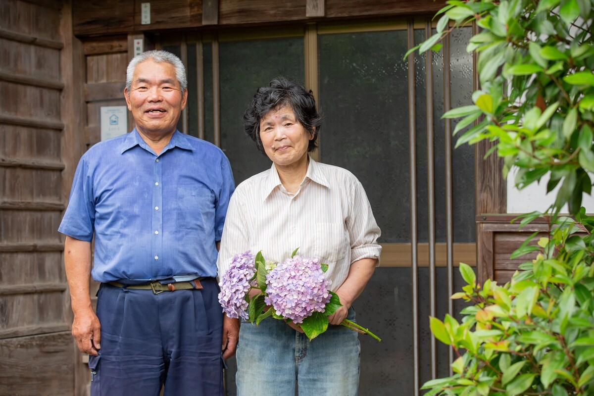 "早稻田"绿色稻田和宽敞的农民住宿（过夜住宿）