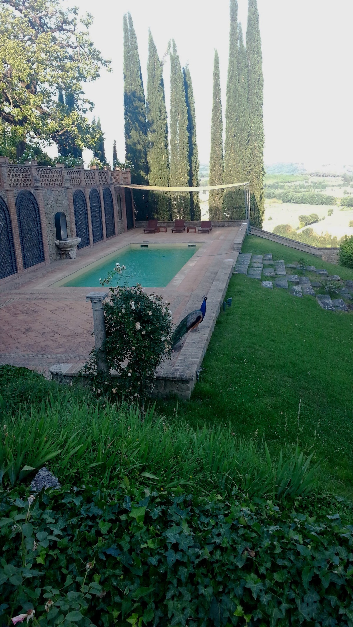 Perugia Limonaia的房子
