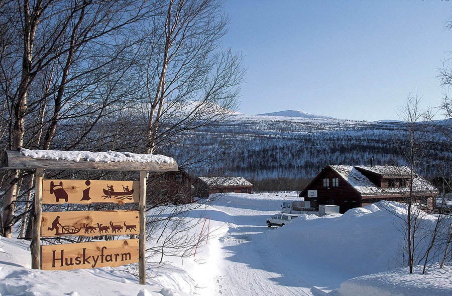 Cabin at the Huskyfarm Innset