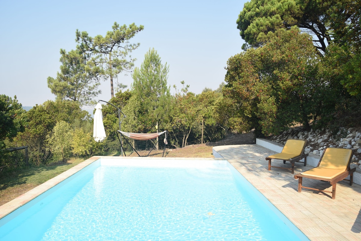 A Perfect villa with pool, terrace and garden.