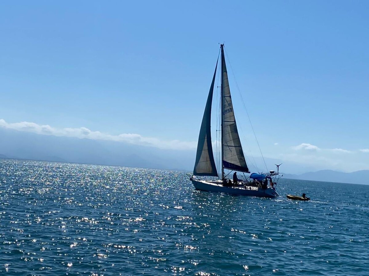 Desfrute de Ilhabela a bordo do Veleiro Zap