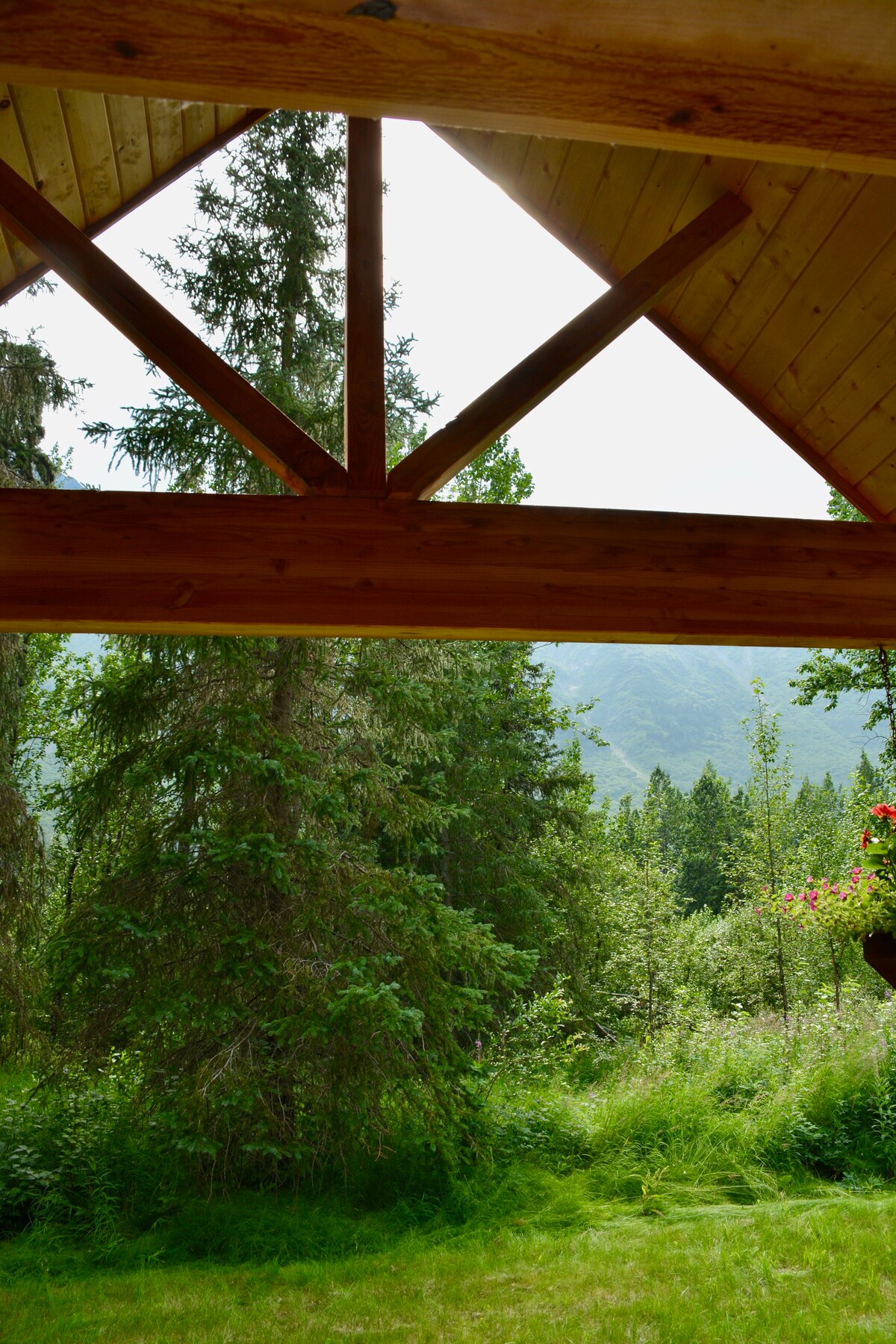 The Bear Cub Cabin