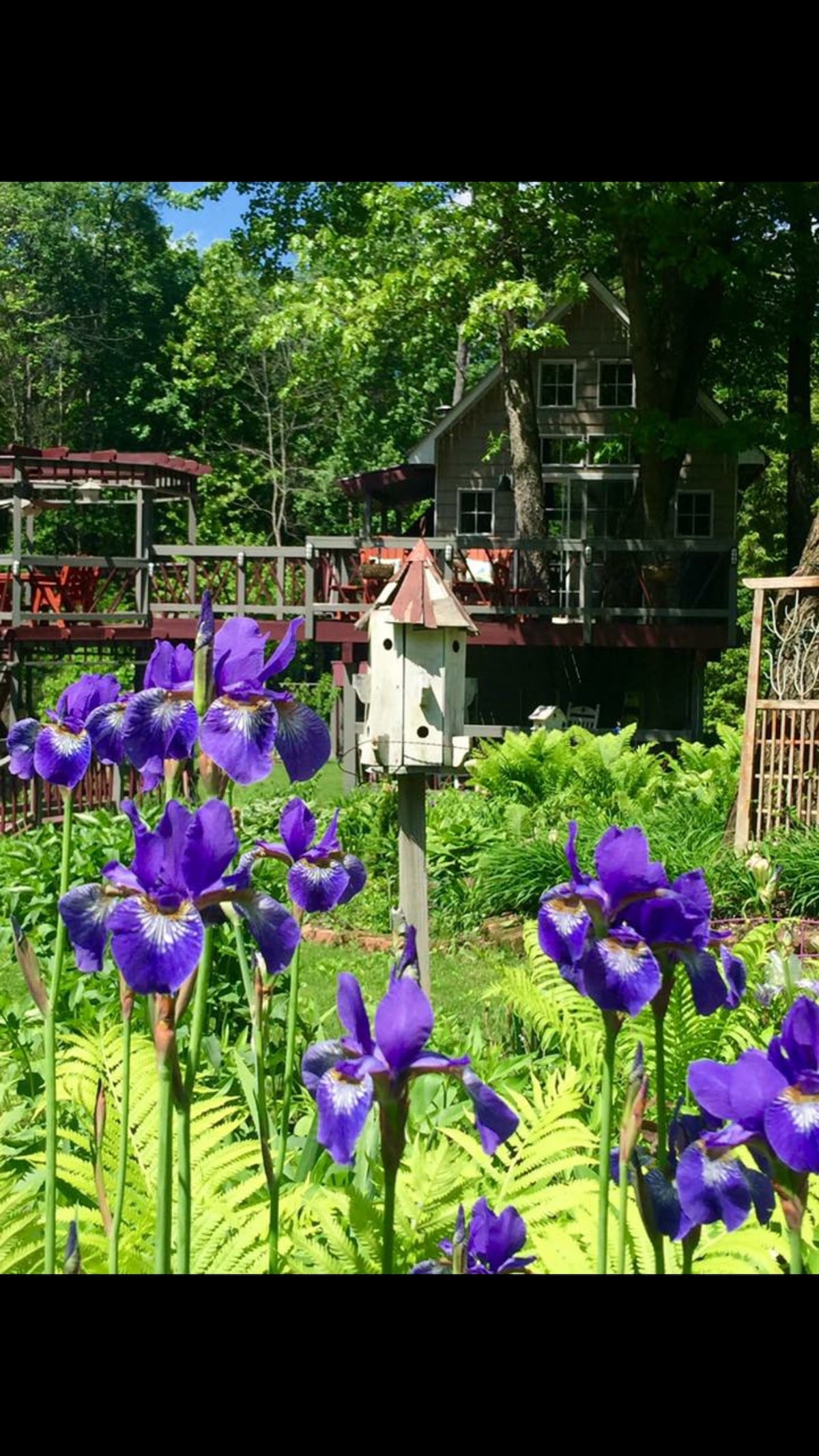 Tree house at sacandaga lake / Adirondacks mts.