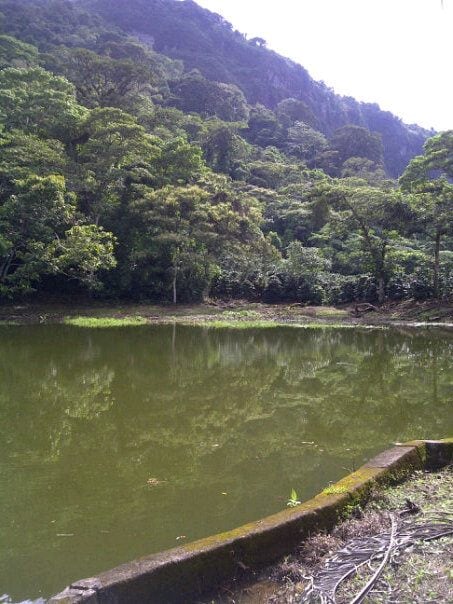 迷人的咖啡种植园和早餐之旅，包括