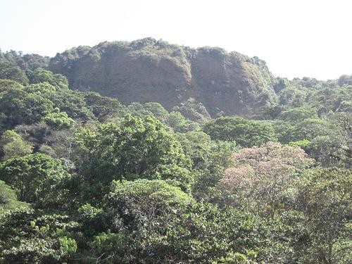 迷人的咖啡种植园和早餐之旅，包括