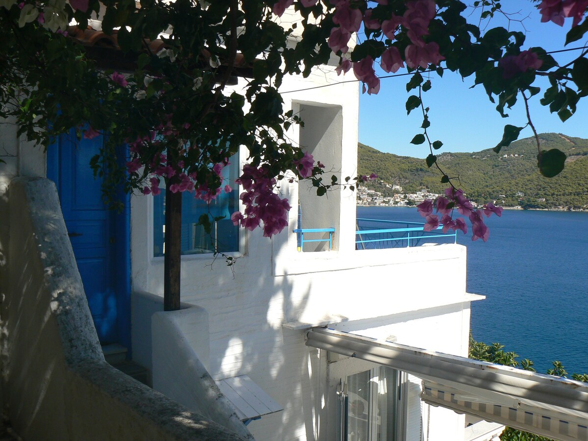 Jenny 's Sea View House和Poros Island。