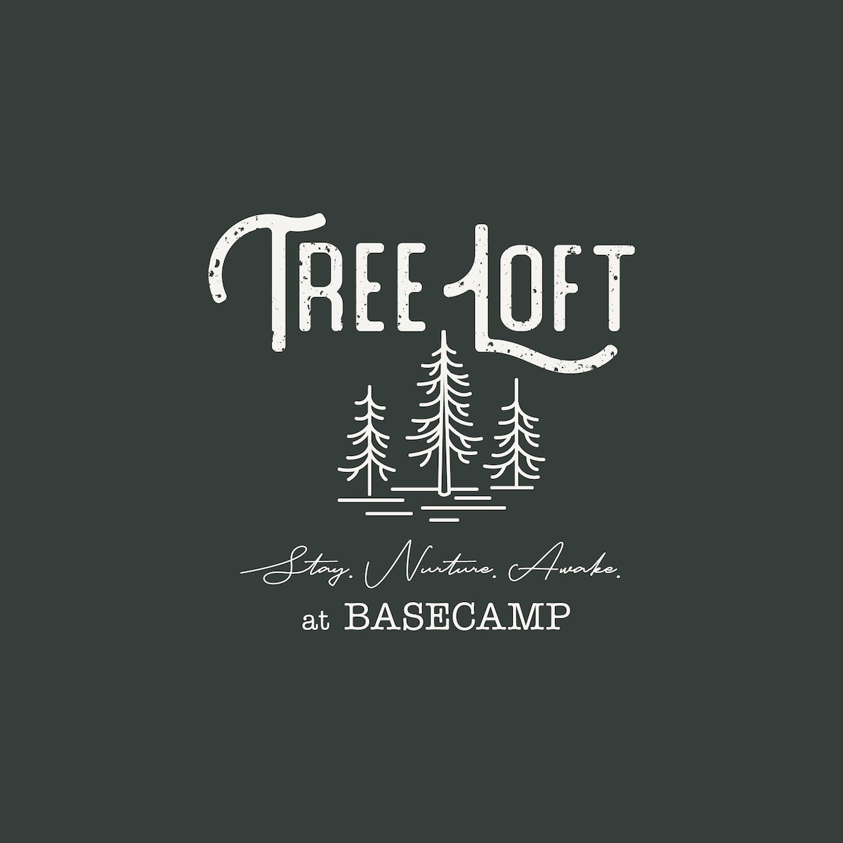 TreeLoft at BaseCamp