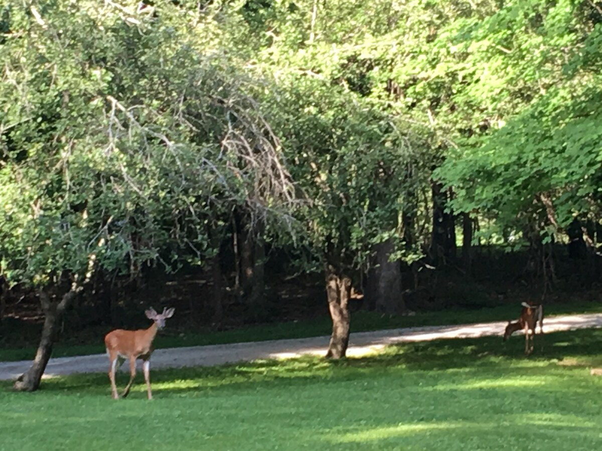 Private Lodge Home for Kentucky Derby + PGA Tour