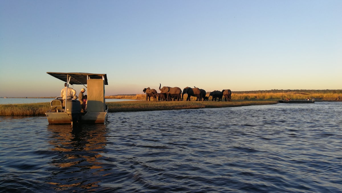 CHOBE HOMESTEAD